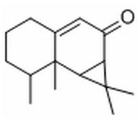 马兜铃酮