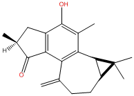 麻枫树酚酮B CAS：71386-38-4 中药对照品标准品