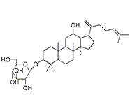 人参皂苷Rk2 CAS：364779-14-6