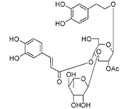  2'-乙酰毛蕊花糖苷 CAS：94492-24-7 中药对照品标准品