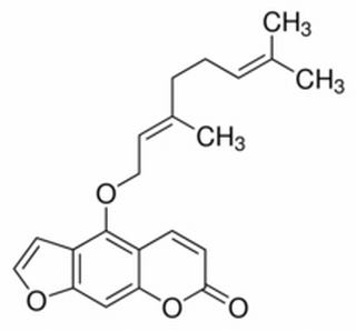 佛手柑素 CAS：7380-40-7 中药对照品标准品