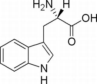 L-色氨酸 CAS：73-22-3 中药对照品标准品