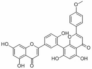 竹柏双黄酮 A CAS：22136-74-9 中药对照品标准品