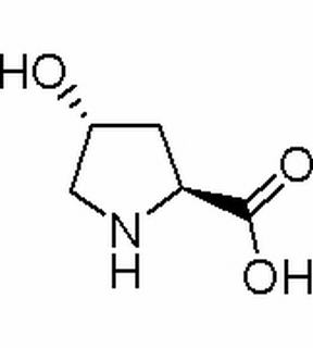 L-羟基脯氨酸 CAS：51-35-4 中药对照品标准品