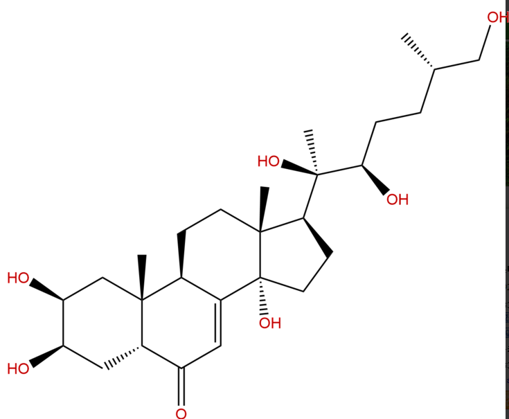 25R-牛膝甾酮 CAS：19682-38-3 中药对照品标准品