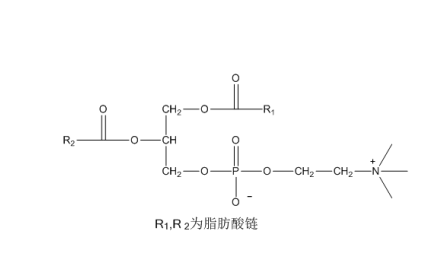 蛋黄磷脂酰胆碱 CAS：93685-90-6 中药对照品 标准品