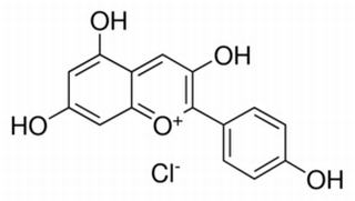 天竺葵素（氯化花葵素） CAS：134-04-3 中药对照品标准品	