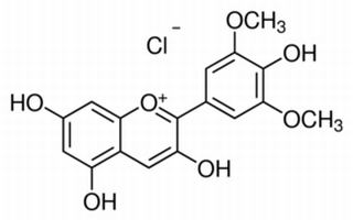 氯化锦葵色素 CAS:643-84-5 中药对照品标准品