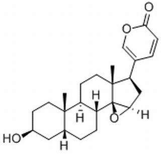 酯蟾毒配基 CAS:465-39-4 中药对照品标准品