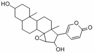 去乙酰华蟾毒精 CAS:4026-95-3 中药对照品标准品