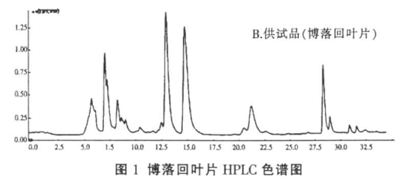 博落回叶片图谱