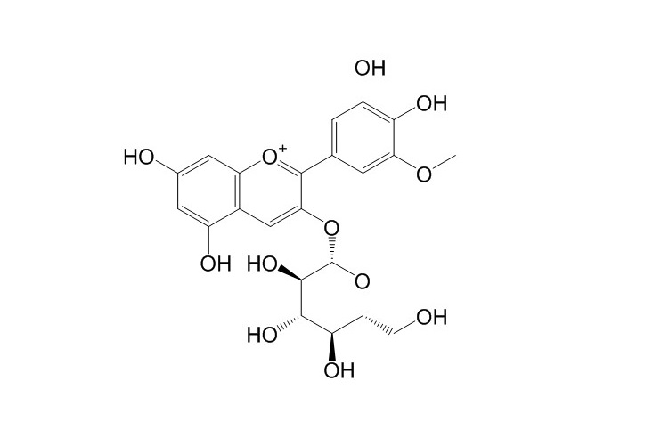 矮牵牛素-3-O-葡萄糖 CAS: 71991-88-3 中药对照品标准品