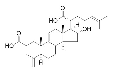 茯苓新酸B CAS: 137551-39-4 中药对照品标准品