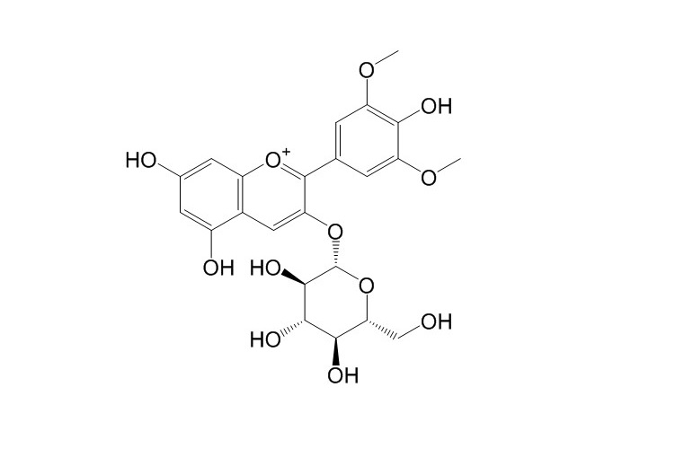 锦葵素-3-O-葡萄糖苷 CAS：18470-06-9 中药对照品标准品