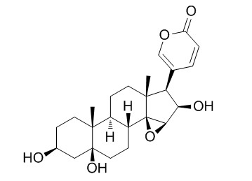 去乙酰华蟾毒它灵 CAS：6601-62-3 中药对照品标准品