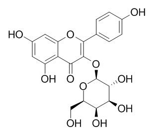 山奈酚-3-O-半乳糖苷（三叶豆苷） CAS号：23627-87-4