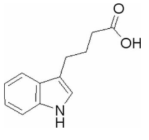 吲哚丁酸 C...