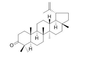 羽扇烯酮 C...