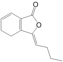  藁本内酯 CAS：81944-09-4 中药对照品 标准品