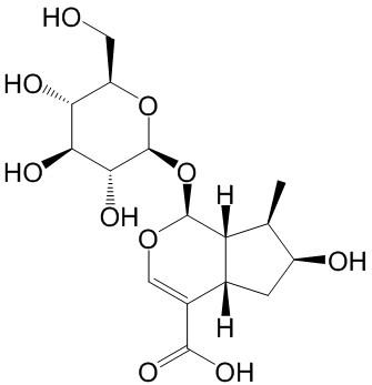 马钱苷酸 CAS：22255-40-9 中药对照品标准品