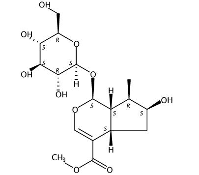 马钱苷 CAS：18524-94-2 中药对照品标准品