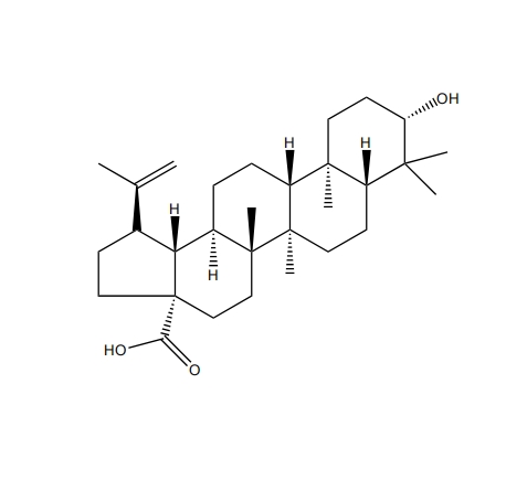 白桦脂酸 CAS：472-15-1 中药对照品 标准品