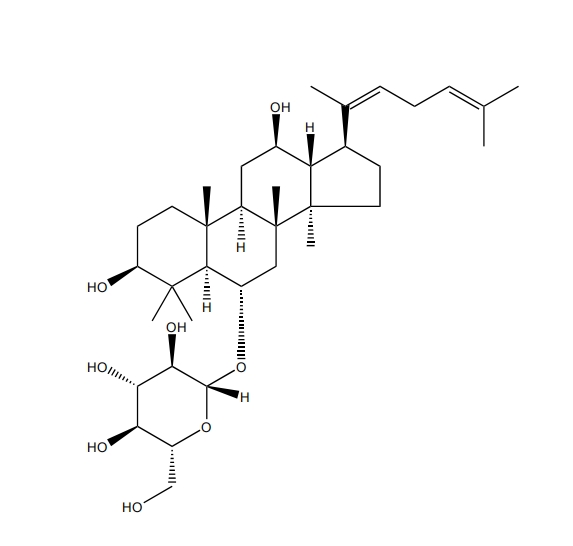 人参皂苷Rh4 CAS：174721-08-5 中药对照品标准品