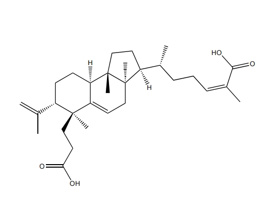 南五味子酸 | CAS No.62393-88-8