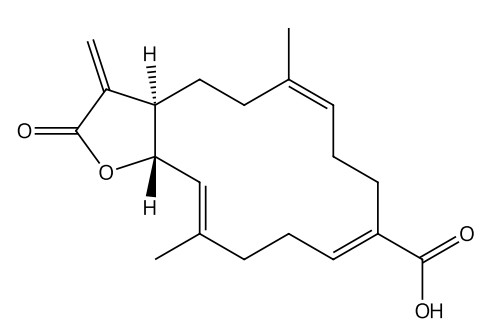 防风酸 | CAS No.59632-76-7