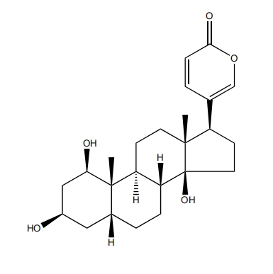 1beta-羟基蟾毒灵 | CAS No.366004-27-5