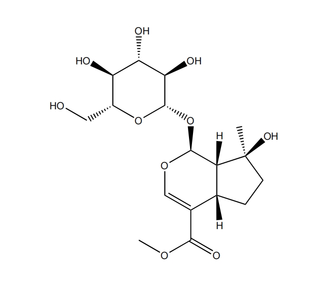 玉叶金花甙酸甲酯 | CAS No.64421-27-8