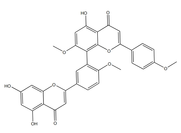 榧黄素 | CAS No.481-45-8