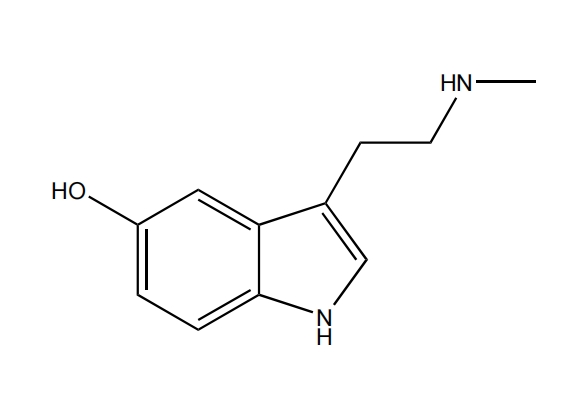 N-甲基五羟色胺 | CAS No.1134-01-6