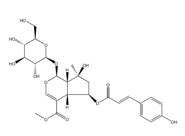 6-O-反式对香豆酰山栀苷甲酯 | CAS No.1246012-26-9